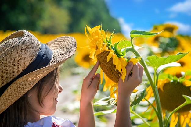 A child in a field of sunflowers in an embroidered shirt. Ukraine Independence Day concept. Selective focus.