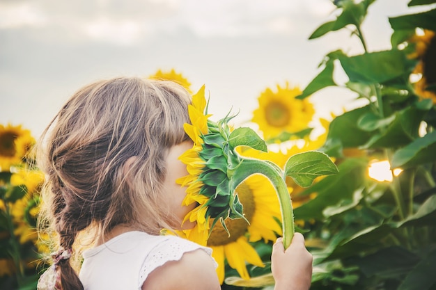 Child in the field of sunflowers is a small farmer. selective focus.