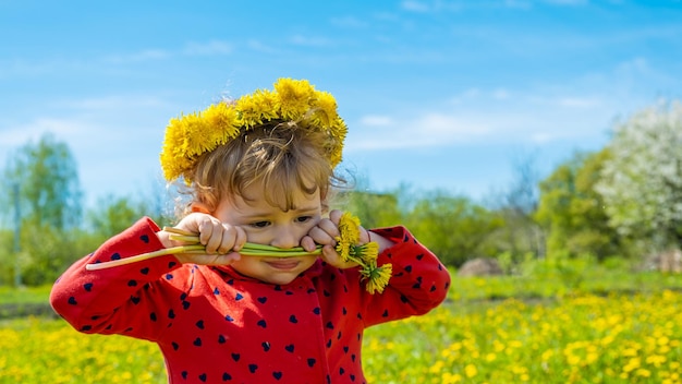 A child in a field of yellow dandelions Selective focus