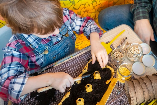 The child fills the earth in cassettes from eggs for seedlings the concept of ecology zero waste