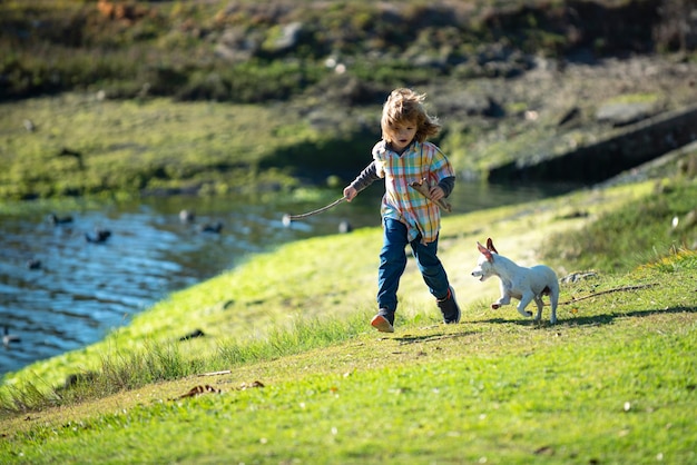 Child and Funny Dog run on the Green Park Little Boy Racing the Puppy