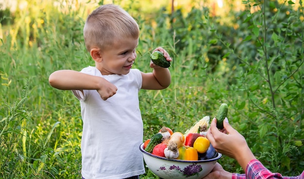 Child in the garden with vegetables in his hands Selective focus