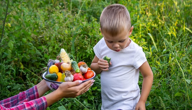 Child in the garden with vegetables in his hands Selective focus