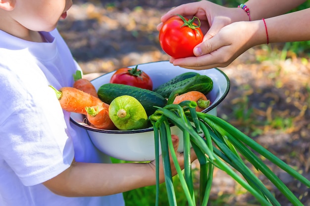 Child in the garden with vegetables in his hands