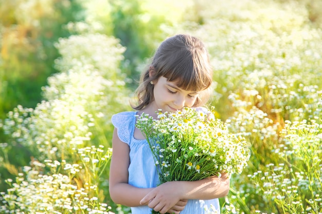 Child girl in a camomile field