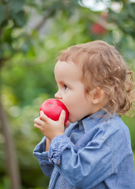 Child girl eating an apple in a garden in nature