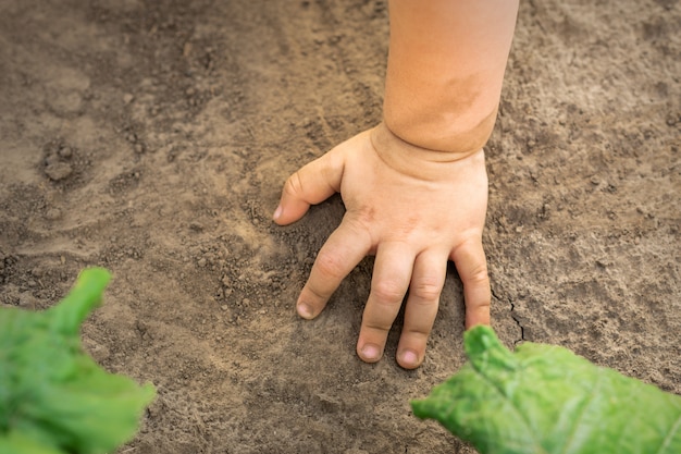 Child hand touch dry soil