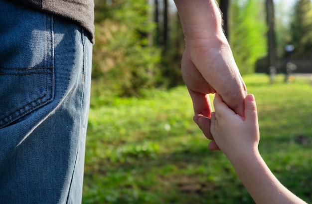 Child holding hand father. Family concept, fathers day