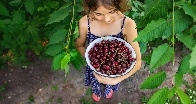 Child holds a bowl with cherries in garden background