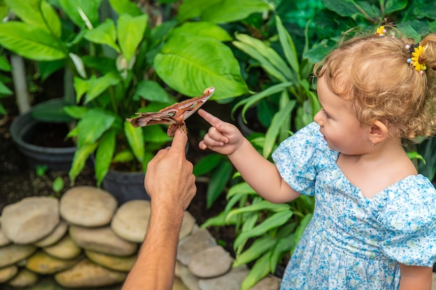 Child holds a butterfly on their hand Coscinocera hercules Selective focus