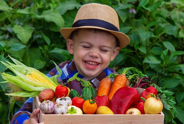 A child holds freshly picked vegetables in his hands Vegetables in a box