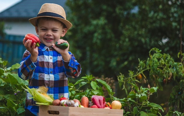 A child holds a harvest of vegetables in his hands Selective focus