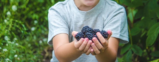 The child holds in his hands a wooden bowl with black raspberries in the garden in summer