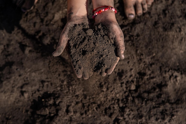 The child holds soil in the garden Selective focus