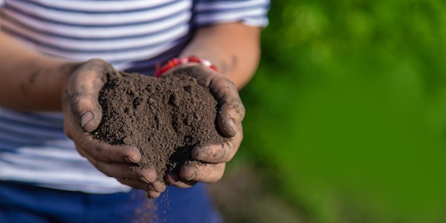 The child holds soil in the garden Selective focus