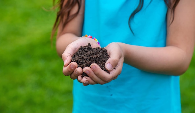 The child holds the soil in his hands Selective focus