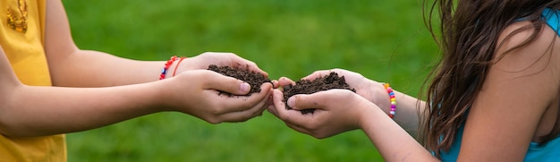 The child holds the soil in his hands Selective focus