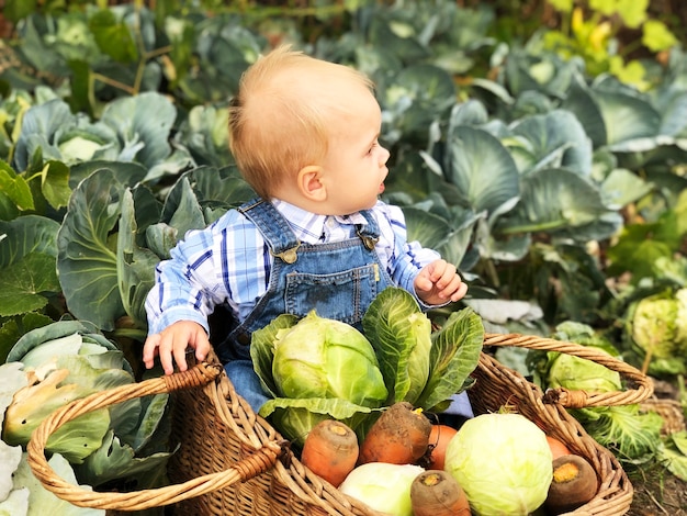 The child is a little farmer. Farm assistant.