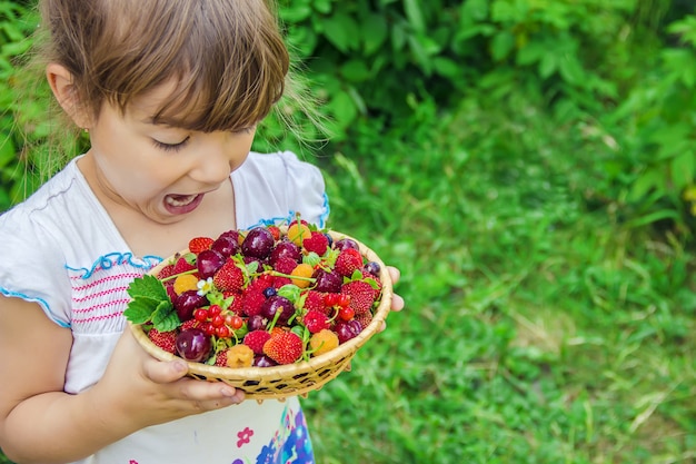 The child is picking cherries in the garden. Selective focus.