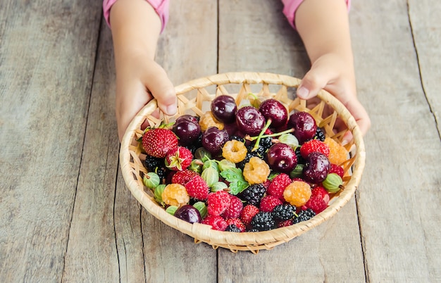 The child is picking cherries in the garden. Selective focus.