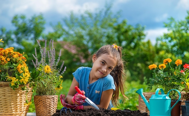 The child is planting flowers in the garden Selective focus