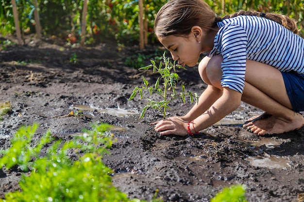 The child is planting a plant in the garden Selective focus