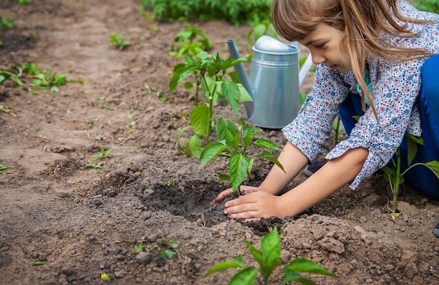 The child is planting seedlings in the garden. Selective focus. Nature.