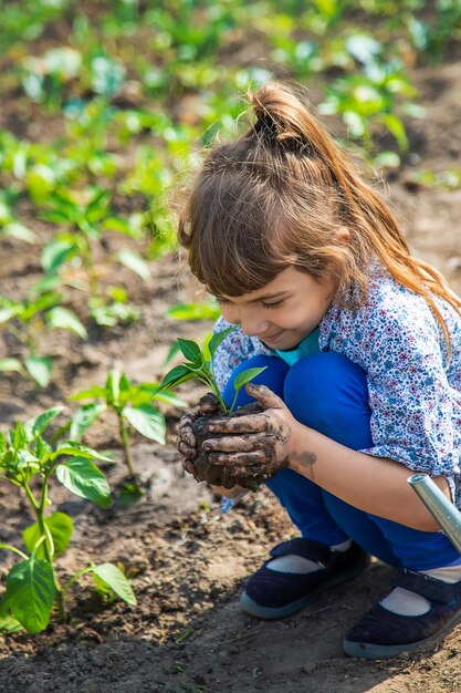 The child is planting seedlings in the garden. Selective focus. Nature.