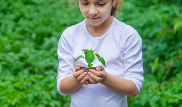 The child is planting seedlings in the garden