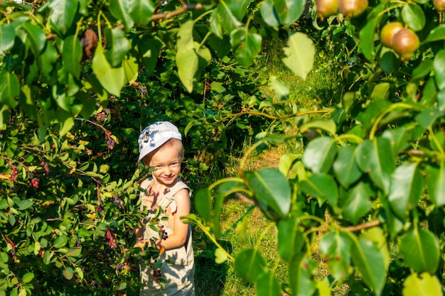 Child looks out of berry bushes