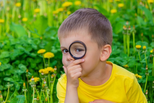 The child looks through a magnifying glass at the flowers Zoom in