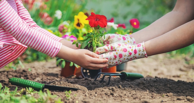 Child and mother plant flowers in the garden. Selective focus.