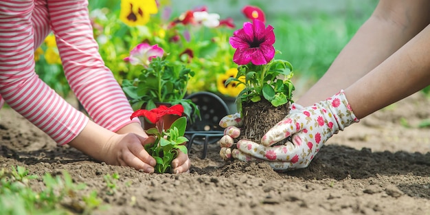 Child and mother plant flowers in the garden. Selective focus.