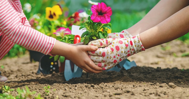 Child and mother plant flowers in the garden. Selective focus.