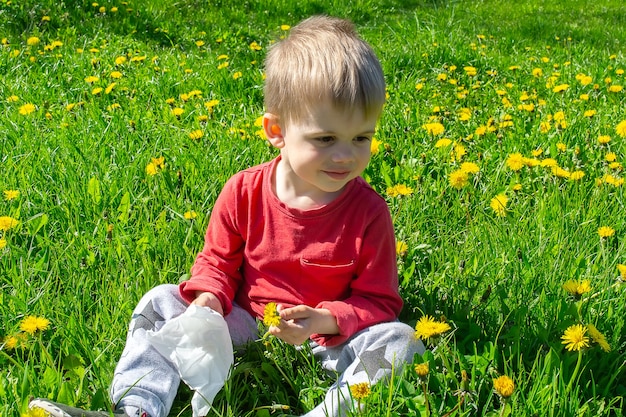 Child picks and sniffs flowers spring allergy