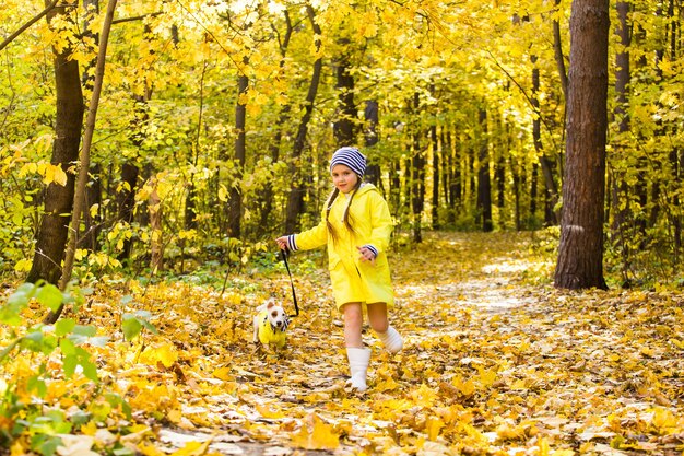 Child plays with Jack Russell Terrier in autumn forest