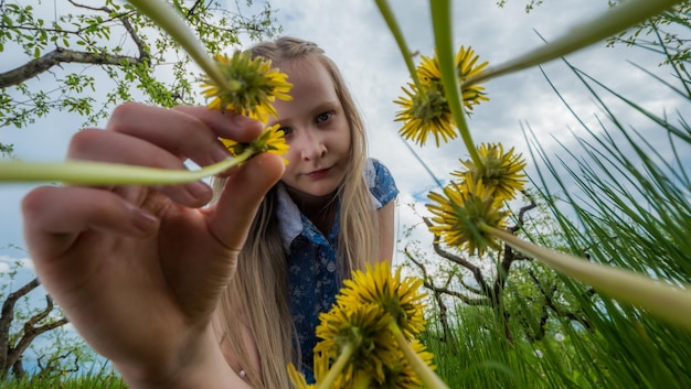 Photo a child plucks dandelions on a green meadow