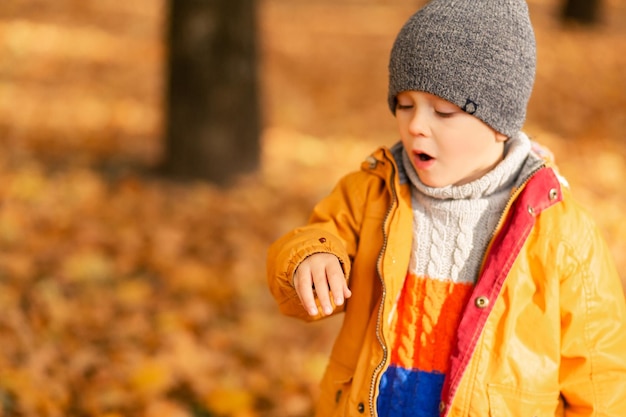 A child rejoices playing with a ladybug in an autumn park Happy childhood