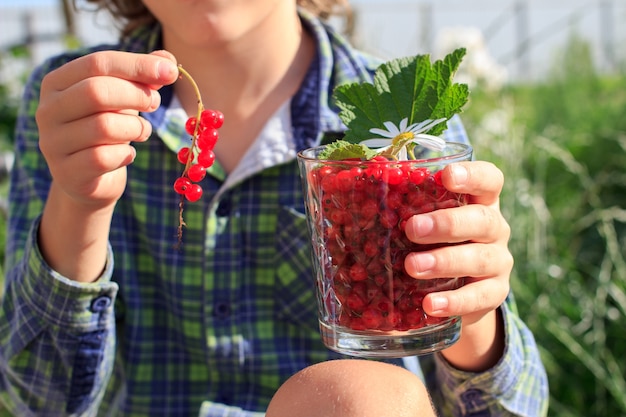 Child's hand holding glass full of red currants in summer outdoors in garden