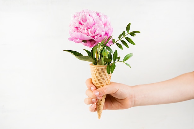 A child's hand holds a waffle cone with a pink peony. Creative still life with a flower sticking out of a waffle cone. Horizontal photo