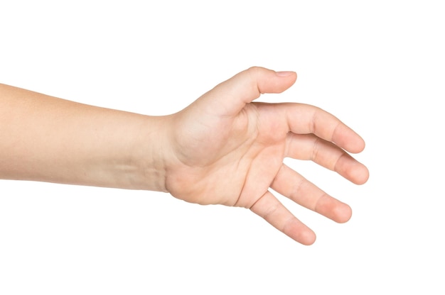 Child's hand isolated on a white background