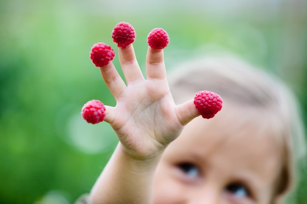 Child&#39;s hand with raspberry 