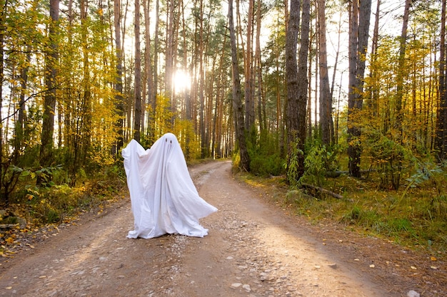 A child in sheets with cutout for eyes like a ghost costume in an autumn forest scares and terrifies A kind little funny ghost Halloween Party