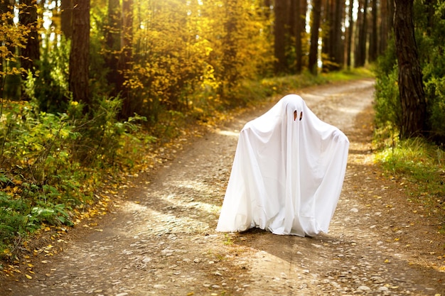 A child in sheets with slits like a ghost costume in an autumn forest scares and terrifies A kind little ghost Halloween Party