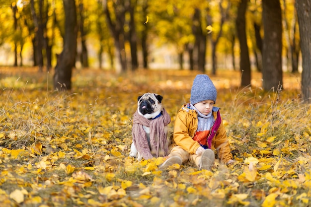 A child sit in fallen yellow leaves with a pug in the autumn park. Friends since childhood.