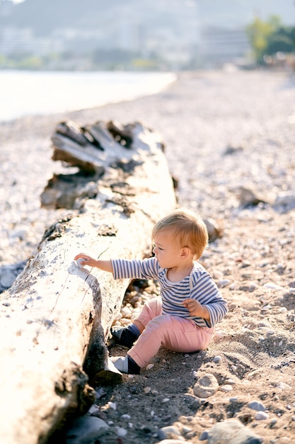 Child sits on the beach near an old fallen tree