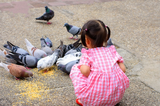 Child Sitting watching birds eating at Tha Phae Gate Chiang Mai Thailand