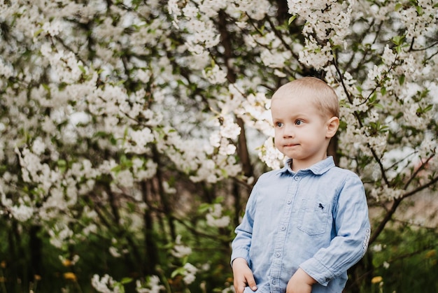 the child smiles. a boy in a blooming garden.  the child is happy
