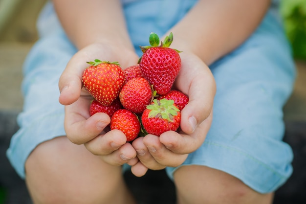 Child and strawberry