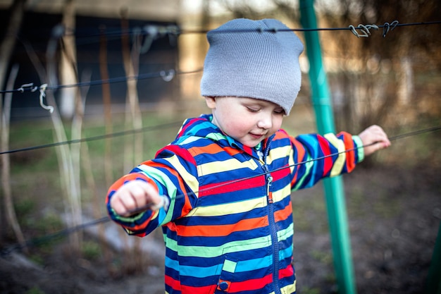 A child touches the ropes for the garter of grapes. Preparing the vine for the fruiting season.